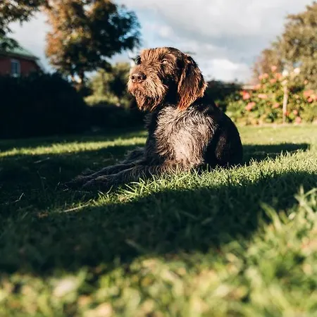 Ferienbauernhof Wulff - 