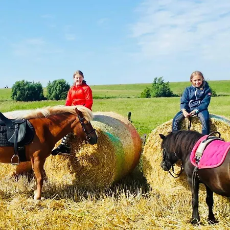 Ferienbauernhof Wulff - 