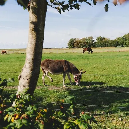Ferienbauernhof Wulff - Hooge * Reußenköge