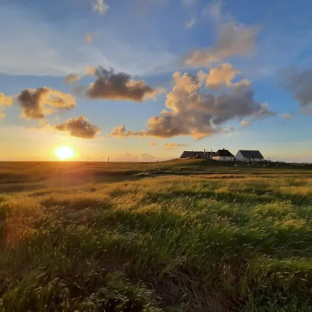 Ferienbauernhof Wulff - 