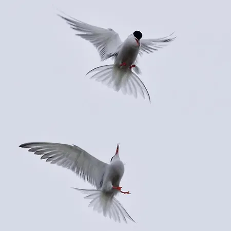 Ferienbauernhof Wulff - 